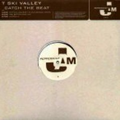T Ski Valley - Catch The Beat (Dimi's & Mousse T.'s Old School Mix)