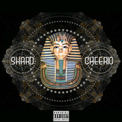 SHARD - CHEERIO