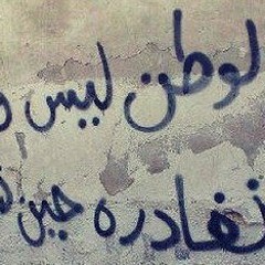 وشرفك يا بلد أمير موسي 2