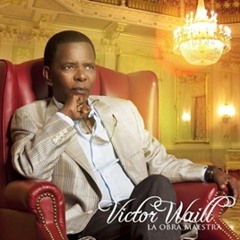 Virtor Waill - Me Enamore