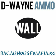 D-Wayne - AMMO (Original Mix)