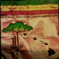 Dis Type A Dub- Irie Souls