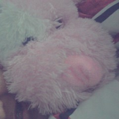 cvr cinta pertama dan terakhir