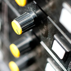 CATUS - gilli.bird (Hi Resolution File)