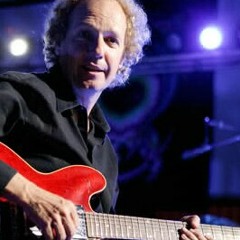 Lee Ritenour - Rio Funk Guitar Cover