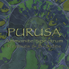 On A Trip~Purusa Remix