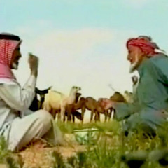 قصيد وإنشاد