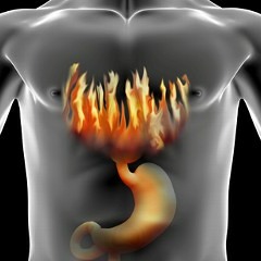 Evasion - Stomach Acid
