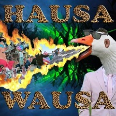 Mr. Polska & Boaz van de Beatz - Hausa Wausa