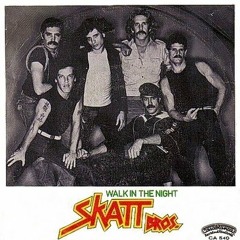 Skatt Brothers - Walk The Night  (Funk Hunk Edit)