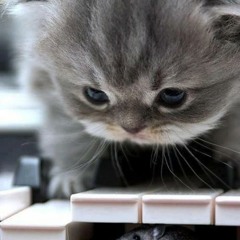 اوبرت انغام عمر خيرت