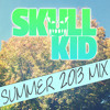 Skull Kid Summer Mix 2013