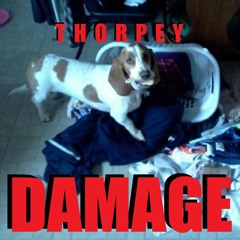 Thorpey - Damage (Dr Cryptic Remix)