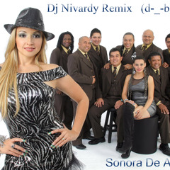 Cansada - Snora Dinamita - Dj Niv@rdy RmX
