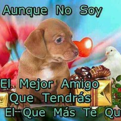 07 Tu Me Juraste.m4a