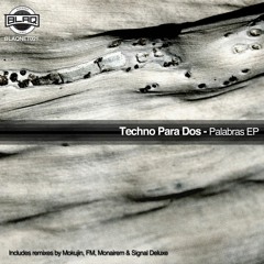 Palabras Feat Ray Permora ( Original mix)