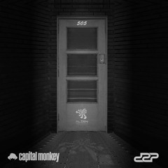 ✖ DZP & CAPITAL MONKEY - 505 (Original Mix) ✖