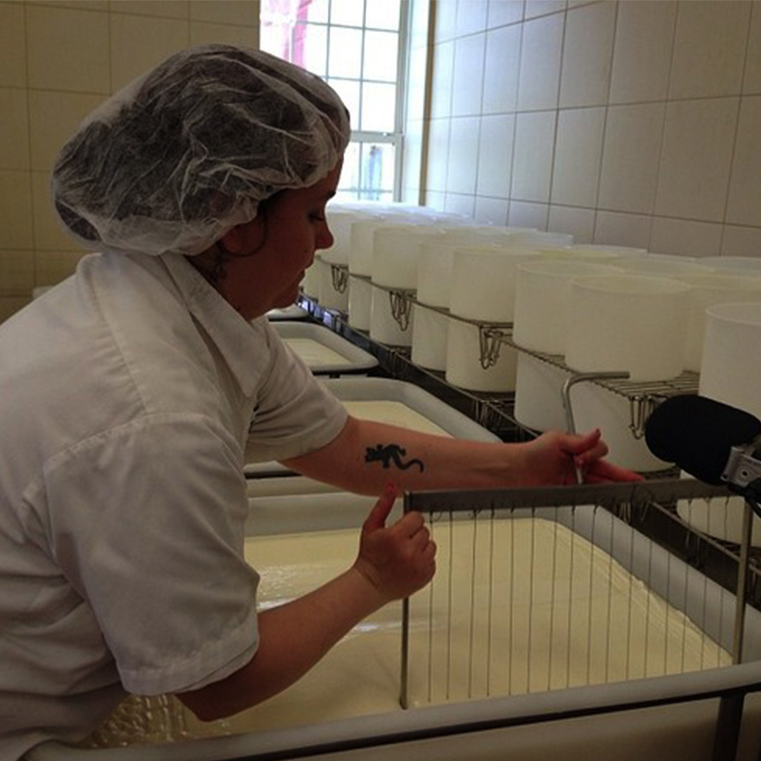 No One Wants to Be Here All Night – Liz Fontaine, Cheesemaker episode artwork