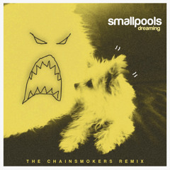 Smallpools - Dreaming (The Chainsmokers Remix)