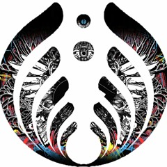 Bassnectar - Probable Cause ( Darf - Killa Remix)