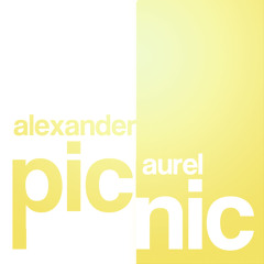 Picnic - Mix 06.2013