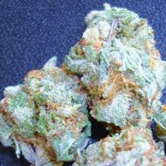 K.U.S.H - Mack Breezy, BigLeFF, X-Facta