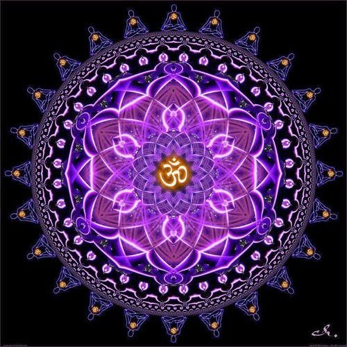 A TRIP OF MIND