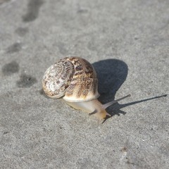 Take it Slowww (Original Mix)