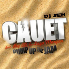 Pump Up The Jam - Cauet Feat Big Ali, Laza Morgan - DJ SEN REMIX