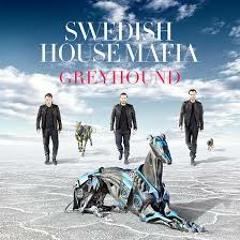 SHM vs Axwell & Sebastian Ingrosso vs Matt Caseli & Danny Freakazoid - Raise Your Greyhound Together