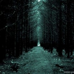 Rong - Trilha Estreita (SAD)