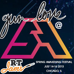 Gun Love Live at Spring Awakening Music Festival, Chicago, IL