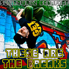 These Are The Breaks (The Hardest BBoy Drums)