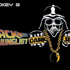 1993 - 1994 Old Skool Jungle n Darkside Mix