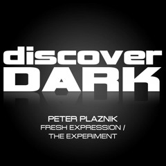 Peter Plaznik - The Experiment (Original Mix)