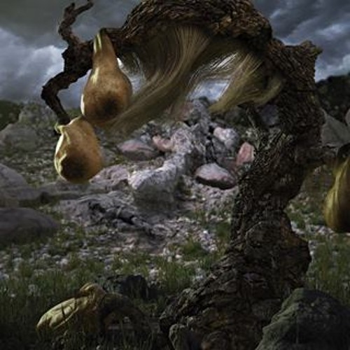 Gotye & Perfect Tripod - Quasimodo's Dream