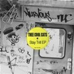 Thee Cool Cats -   Play it again - Nurvous    preview July 2013)