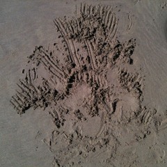 Home Is Where The Heart Is