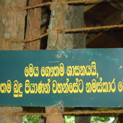 Buddham Sharanam Gachchami By Hariharan I The Three Jewels Of Buddhism (360p)