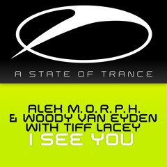 Alex M.O.R.P.H. & Woody van Eyden with Tiff Lacey - I See You  (Matt Bukovski Remix)