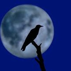 As the Crow Flies (collab with Something Memorable, Ingrid.H & Pat.E)