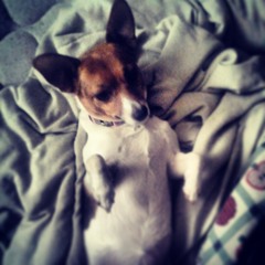 07 This Goes Out To My Mama