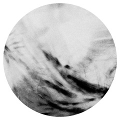 TECHNO FUCK