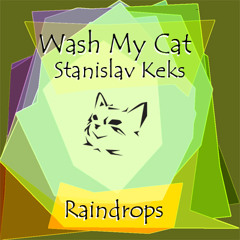 washmycat - Raindrops (Demo 2013)