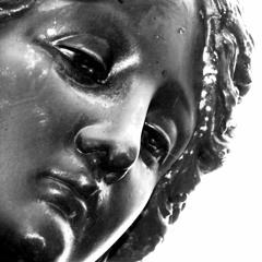 DAS MUSTER ::: AUS DEM NICHTS