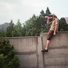 Electrodog - Летняя