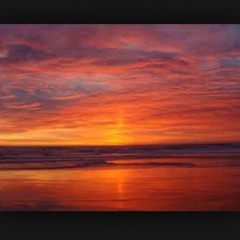 Stay cover By Caryn & Jeremy