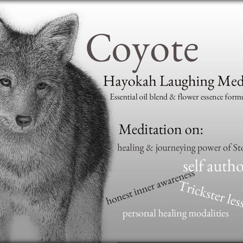 Animal Medicine Meditation tools Coyote Hayokah Laughing Medicine by