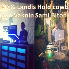D.O.D & Landis Hold cowbell (Ron Vaknin Sami Biton Mashup)