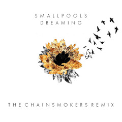 Smallpools - Dreaming (The Chainsmokers Remix)